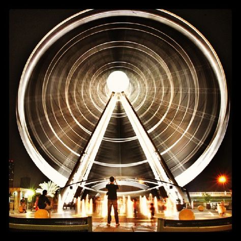 The ferris wheel at Al Qasba Sharjah. Photographer Arshad Ali. #UAE #Dubai #instaphoto #instadaily #sharjah #outdoors #summer #fountains #qasba #ferriswheel #lights #gulfnews Sharjah, Ferris Wheel, Dubai, Fair Grounds, Wheel, Lighting, Photographer