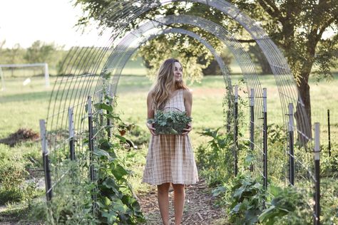 Cattle Panel Pumpkin Trellis, Raspberry Arch Trellis, Hog Panel Garden Arch, Cattle Fence Garden Arch, Cattle Panel Arch Trellis, Cow Panel Trellis, Cow Panel Garden Trellis, Cattle Panel Trellis Arches, Diy Trellis Archway