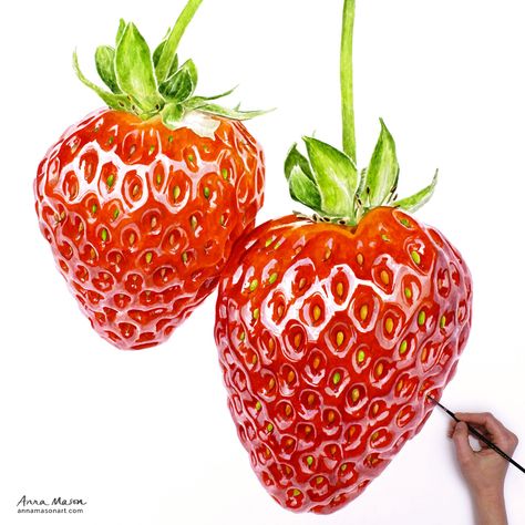 Still getting a kick out of these big strawberries I painted last month. For tips on how to paint them see:   https://www.annamasonart.com/paint-strawberries/ Strawberry Art Illustration, Sketch Digital Art, Watercolor Strawberries, Strawberry Clipart, Strawberry Drawing, Strawberry Watercolor, Anna Mason, Strawberry Art, Sketch Digital