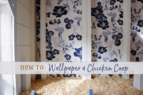 Inside Chicken Coop, Barnyard Dance, How To Wallpaper, Chicken Coop Pallets, Chicken Roost, Chicken Coop Decor, Henny Penny, Plastic Lumber, Chicken Coup