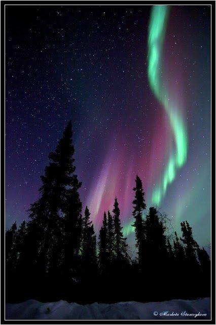 Northern Lights Art, Northern Lights Photography, Northern Lights Painting, Fairbanks Alaska, Northern Lights (aurora Borealis), Aurora Borealis Northern Lights, Beautiful Landscape Photography, Soyut Sanat Tabloları, Light Painting