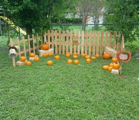 Diy Pumpkin Patch Party, Diy Pumpkin Patch For Kids, School Pumpkin Patch Ideas, Pumpkin Patch School Decoration, How To Make A Pumpkin Patch, Backyard Pumpkin Patch Ideas, Daycare Pumpkin Patch, Diy Mini Pumpkin Patch, Pumpkin Patch At School