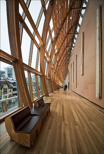 AGO furniture | Flickr - Photo Sharing! Frank Gehry Architecture, Gehry Architecture, Futuristic Interior Design, Art Gallery Of Ontario, Wood Architecture, Futuristic Interior, Frank Gehry, Cedar Wood, Fairy Dust