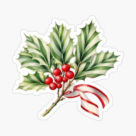 Get my art printed on awesome products. Support me at Redbubble #RBandME: https://www.redbubble.com/i/sticker/Christmas-Green-Holly-Branch-by-My-Magic-World/154586120.EJUG5?asc=u Bow Sticker, Transparent Wall, Holly Branch, Xmas Sticker, Sticker Christmas, Christmas Green, Planner Decorating, Christmas Gift Idea, Bow Design