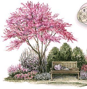 A NOOK GARDEN; Plans designed and layout with identification Vegetable Garden Planner, Landscaping Trees, Garden Nook, Backyard Garden Layout, Garden Design Layout, Garden Shrubs, Garden Plans, Ideas Backyard, Landscape Plans