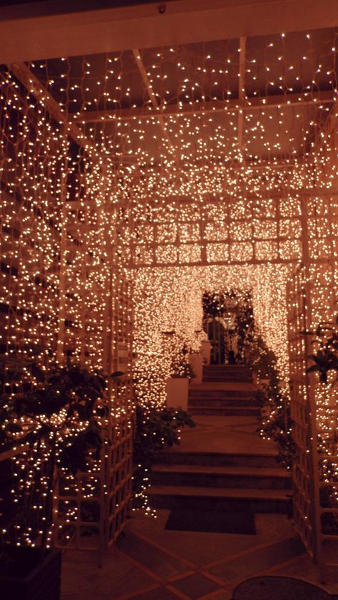 Future Wedding Plans, Desi Wedding, Wedding Goals, Wedding Lights, Christmas Aesthetic, Oahu, Wedding Bells, Fairy Lights, Christmas Spirit