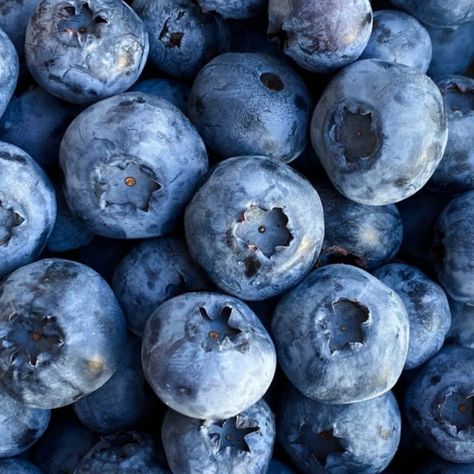 Blue Things Aesthetic, Blueberries Aesthetic, Blue Moodboard, Blueberry Girl, I Love Rain, Blue Photography, Navy Girl, Blue Aura, Everything Is Blue