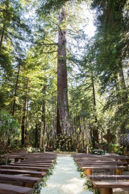 ceremony site Sean Parker Wedding, Ventana Big Sur, Tree Wedding Ceremony, Forest Wedding Ceremony, Wedding Ceremony Readings, Wedding Forest, Redwood Wedding, Wedding Ceremony Script, Big Sur Wedding