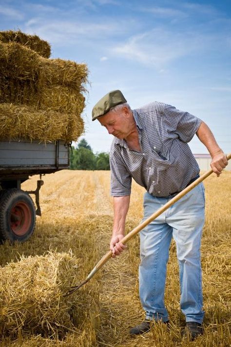 Write Dialogue, Dutch Farms, Farm Pictures, Speaking In Tongues, Country Kids, Country Lifestyle, Country Scenes, Down On The Farm, Working People