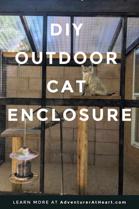 Step by step guide to building a DIY outdoor cat enclosure. How to build a 4x8 catio without breaking the bank. A secure area for cats Diy Catios For Cats Cheap, Catios Diy How To Build, Diy Catios For Cats Outside, Cat Outside Enclosure, Diy Cat House, Cat House Outdoor, Outside Cat Enclosure, Catio Plans, Diy Cat Enclosure