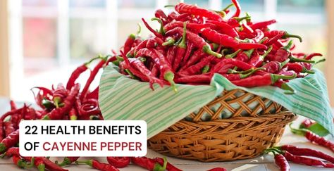 22 Surprising Health Benefits of Cayenne Pepper You Can’t Miss Cyanne Pepper, Cayenne Pepper Drink, Benefits Of Cayenne Pepper, Cayenne Pepper Benefits, Pepper Benefits, Cough Syrup Recipe, Gastric Juice, Curb Appetite, Celery Juice