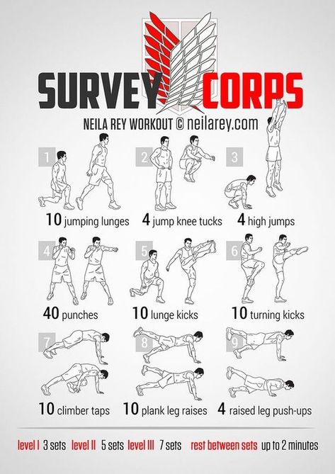 Neila Rey Workout, Neila Rey, Hero Workouts, Superhero Workout, Materi Bahasa Jepang, Survey Corps, Trening Fitness, Attack On Titan Funny, Attack On Titan Fanart