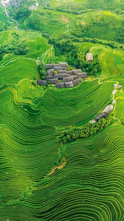 Landform, Rice Fields, Green Landscape, Green Nature, Alam Yang Indah, Nature Backgrounds, Fantasy Landscape, Places Around The World, Nature Travel