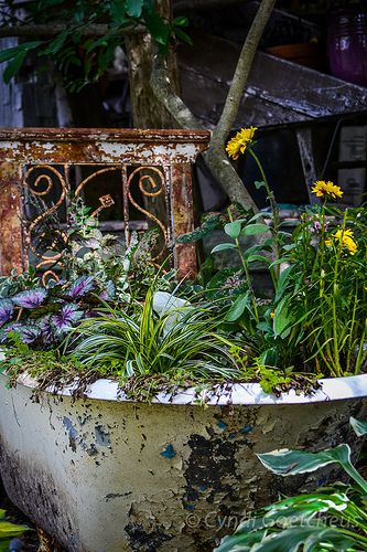 Tub of Plants, Bean Blossom, Indiana, tub 662 Nashville Indiana, Brown County, Indianapolis Indiana, Indiana Hoosiers, Wabi Sabi, Nashville, Indiana, Blossom, Plants