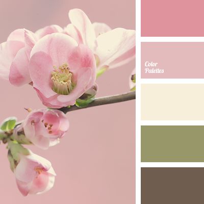 bright pink, brown, color of cherry, color of cherry blossoms, dark brown, green, khaki, light pink, olive-green, pale yellow, pastel pink, pink, pink cherry, shades of pink. Flat Bedroom, In Color Balance, Color Palette Ideas, Palette Ideas, Paint Chip, Color Palate, Design Seeds, Color Balance, Kitchen Living Room