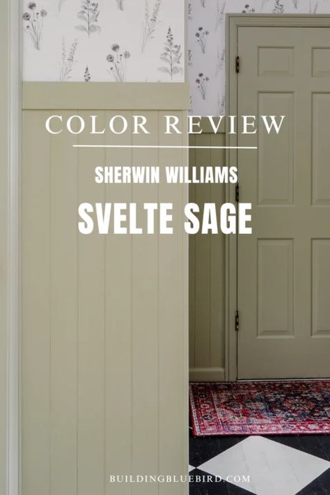 Sherwin Williams Svelte Sage Color Review Sherwin Williams Tea Leaf, Sage Trim White Walls, Sherwin Williams Soft Sage, Sw Sage, Sw Svelte Sage, Svelte Sage Sherwin Williams, English Cottage Exterior, Svelte Sage, Sage House