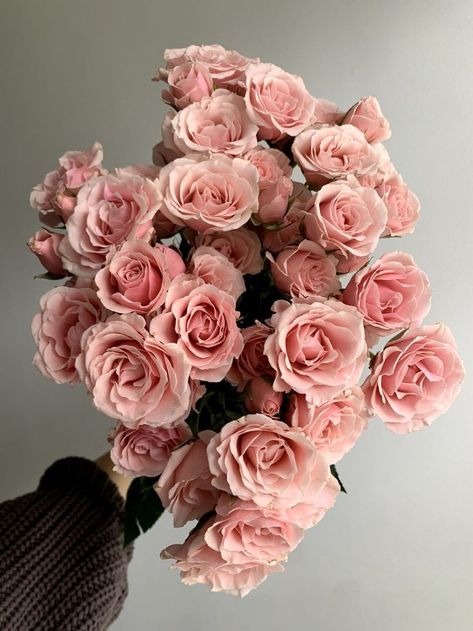 Light Pink Spray Rose, Rose Roses Bouquet, Roses Light Pink, All Rose Bouquet, Light Pink Roses Aesthetic, Light Pink Flowers Aesthetic, Light Pink Roses Wallpaper, Light Pink Rose Bouquet, Spray Rose Bouquet