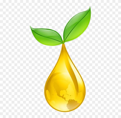 Dishwashing Logo Design, Oil Drop Logo, Oil Logo Design, Herb Logo, Cooking Oil Bottle, Oil Logo, Hinduism History, Green Logo Design, Waste To Energy