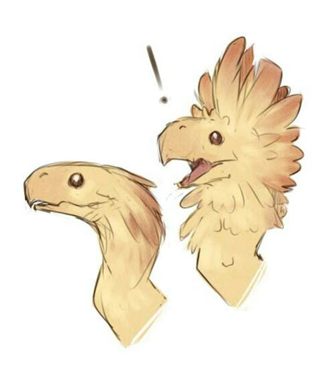 Bird Dragon Hybrid, Bird Creature Design, Dragon Head Reference, Magical Creatures Drawings, Chocobo Art, Bird Creature, Dragons Drawing, Bird Dragon, Happy Dinosaur