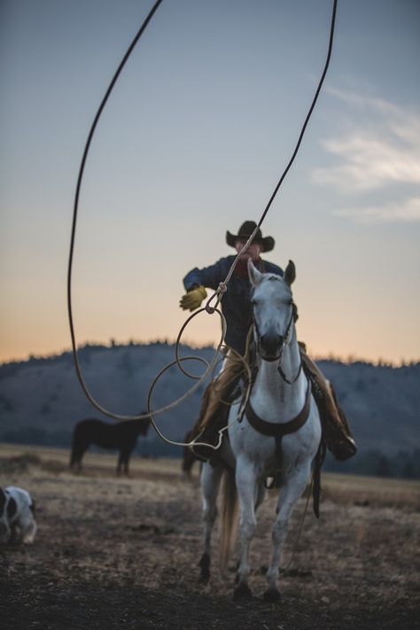 Diamond Cross Ranch, Horse Senior Pictures, Cowboy Photography, Hummingbirds Photography, Western Photo, Cowboy Pictures, Jackson Wyoming, Looking For Friends, Hunting Life