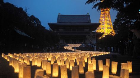 Zojoji Temple, Tokyo Temple, Tanabata Festival, Streamer Decorations, Matsuri Festival, Things To Do In Tokyo, Event Website, Star Crossed Lovers, Star Crossed