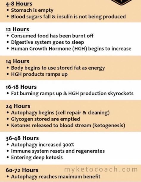 Brian Cates - Political Columnist & Pundit on X: "Research autophagy and what it is. I had never even encountered that word until late last year when I started to explore the Carnivore Diet and intermittent fasting. I'm 59 years old, and considered myself pretty well read. You have to go on a 24 hour fast before the… https://t.co/wlkUli8Ufe" / X What Is Autophagy, The Carnivore Diet, 24 Hour Fast, Carnivore Diet, Well Read, Growth Hormone, Normal Life, Intermittent Fasting, Digestive System