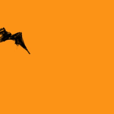 Bat Animation, Bat Gif, Bat Video, Honduran White Bat, Bat Sketch, Fly Gif, Bat Flying, Bat Halloween, In Gif