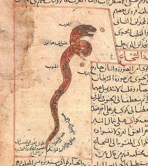 Shapeshifting Jinn Jinn In Islam, Snake Scary, Jodorowsky's Dune, Dark Fiction, Free Stories, Supernatural Beings, Horse Aesthetic, Character Profile, Islamic Paintings