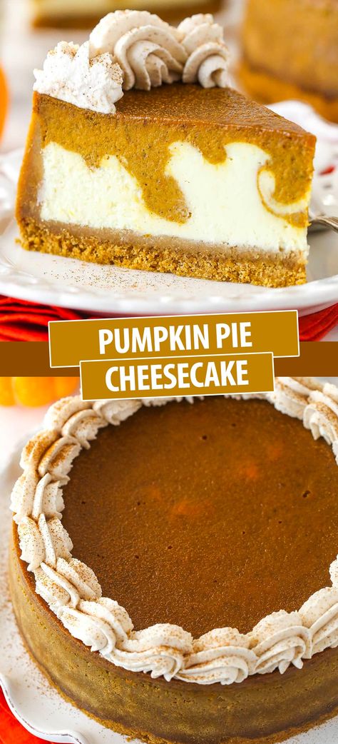 Pumpkin Pie With Cheesecake Layer, Pumpkin Pie And Cheesecake, Best Cheesecake Crust, Cheesecake Whipped Cream Topping, Pumpkin Cheesecake Cheesecake Factory, Layered Pumpkin Pie Cheesecake, Fall Cheese Cakes Recipes, Pumpkin Cake Cheesecake, Pumpkin Roll Cheesecake