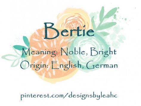 Baby Boy Name: Bertie. Meaning: Noble Bright. English German. Nickname: Bert. #babynames #german #baby #names Disney Baby Names, German Baby Names, British Baby Names, Hipster Baby Names, Irish Baby Names, Baby Boy Name, Rare Baby Names, Unusual Baby Names, Names Girl