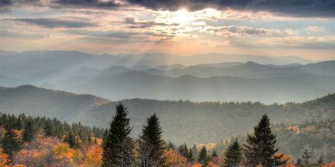 Victory for Whistleblowers in North Carolina: Court Reinstates Constitutional Challenge to 'Anti-Sunshine' Law Blue Ridge Parkway Asheville, Pisgah National Forest, Panoramic Photo, Flat Rock, Shenandoah National Park, Blue Ridge Parkway, Smoky Mountain National Park, Seasons Of The Year, Blue Ridge Mountains