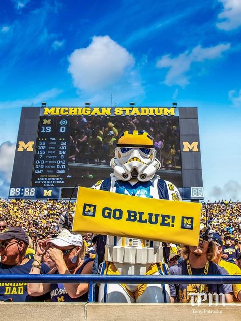 University Of Michigan Aesthetic, Michigan Aesthetic, Summer Michigan, U Of M Football, Michigan Basketball, Basketball Aesthetic, Michigan Go Blue, Michigan Sports, Michigan Football