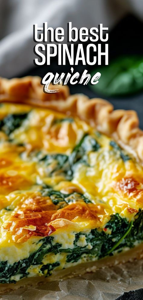 Spinach Quiche [60 Minutes] – Chasety Quiche Spinach And Cheese, Spinach And Egg Quiche, Spinach Quiche Recipe, Quiche Recipes Easy Spinach, Egg Spinach Quiche, Spinach Egg Quiche, Spinach Quiche Recipes Easy, Quiche Recipes Spinach, Spinach Cheese Quiche