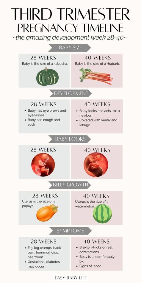 Pregnancy Weeks And Months, Pregnancy Planning Resources, Pregnancy Weeks, Week By Week Pregnancy, Pregnancy Planning, Pregnancy Timeline, Pregnancy Facts, Third Trimester Pregnancy, Health Pregnancy