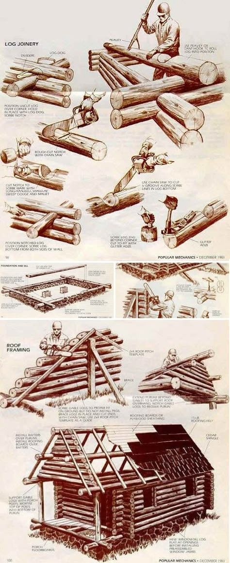 Man skills: How to build a log cabin Build A Log Cabin Diy, Building A Log Cabin Diy, How To Build Log Cabin, Log Cabin Architecture, Log Cabin Homestead, Log Cabin Construction, Diy Log Cabin Plans, Log Building Ideas, Diy Log Cabin Off Grid