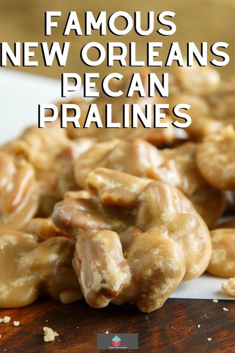 Famous New Orleans Pecan Pralines. A great Southern, New Orleans institution! Delicious buttery brown sugar candy type cookie in one, made of pecans, butter, sugar, and milk. Great for Christmas time too! Peanut Butter Pralines, Sour Cream Candied Pecans, Praline Cookies, Homemade Pecan Pralines, Pecan Praline, Pecan Candy Recipe Condensed Milk, Pecan Pralines Recipe, Pecan Candy, Easy Pralines Recipe