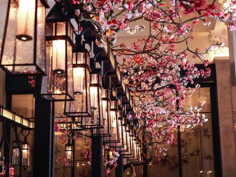 Mei Ume: The Gorgeous Sushi Restaurant In The City Japanese Garden Restaurant, Cherry Blossom Interior Design, Japan Restaurant Design, Cherry Blossom Restaurant, Japanese Restaurant Aesthetic, Sakura Decor, Flower Restaurant, Future Restaurant, Zen Logo