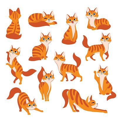 Illustration Funny, Gatto Carino, Cat Vector, Different Poses, Cat Pose, Cat Character, Cat Icon, Vector Cartoon, Red Cat