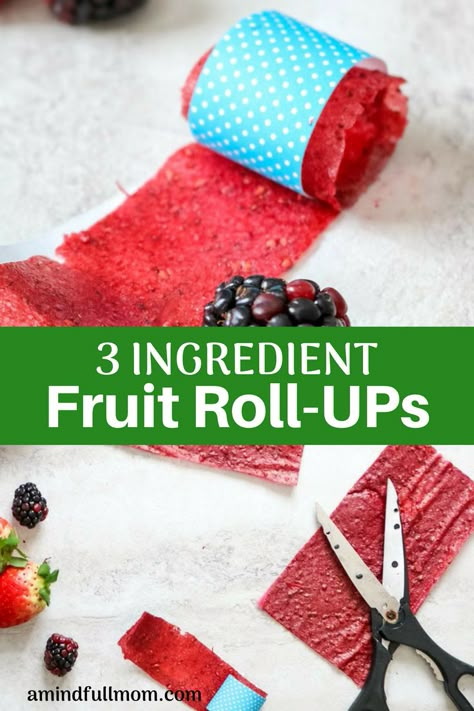 Diy Fruit Roll Ups Dehydrator, Diy Fruit Roll Ups, Healthy Fruit Roll Ups, Fruit Roll Up Recipe, Fruit Roll Ups Homemade, Homemade Fruit Roll Ups, Fruit Appetizers Easy, Healthy Rolls, Homemade Fruit Leather