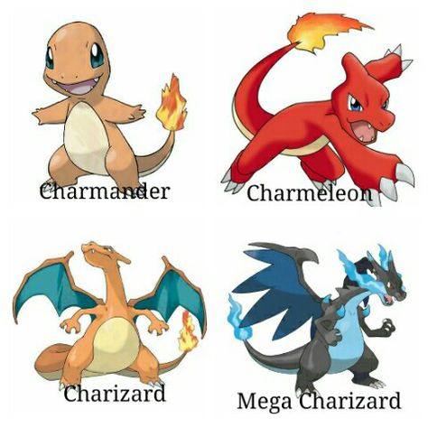 Charmander Evolutions Charmander Evolution Art, Charizard Evolution, Pokémon Evolution, Charmander Evolution, Charmeleon Pokemon, Pikachu Evolution, Pokemon Evolutions, Charmander Charmeleon Charizard, Fire Type Pokémon