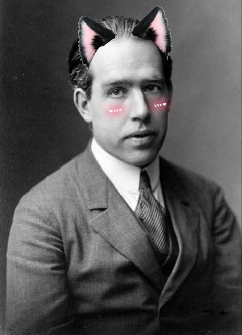 Niels Bohr, Cat Ear, Cat Ears, Apartment, Memes, Pins, Quick Saves