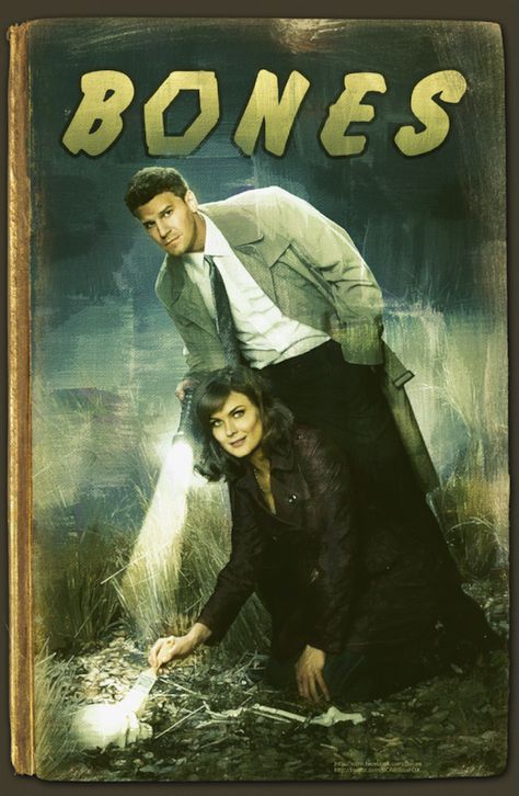 Bone Comic, Temperance Bones, Seeley Booth, Bones Tv Series, Booth And Bones, Booth And Brennan, Bones Tv Show, Nancy Drew Books, Emily Deschanel