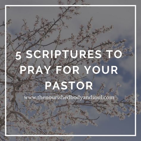 5 Scriptures to Pray for Your Pastor — Cara Price Prayers For Your Pastor, Praying For Your Pastor, Pastor Encouragement Quotes, Praying For Pastor, Prayers For Pastors Encouragement, Pastor Appreciation Scripture, How To Encourage Your Pastor, Prayer For Pastor, Encouragement For Pastors