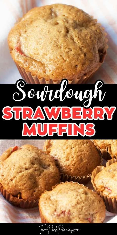 Sourdough Strawberry Muffins (Discard Recipe) | These sourdough strawberry muffins are a great way to use up your discard. The strawberries and slight tang the sourdough gives are such a lovely combination! These are lightly sweet muffin and are wonderful for breakfast or a quick snack. Strawberry Sourdough, Sourdough Strawberry, Sourdough Muffins, Recipe Using Sourdough Starter, Discard Recipe, Peach Muffins, Muffins Vegan, Sourdough Starter Discard Recipe, Easy Sourdough