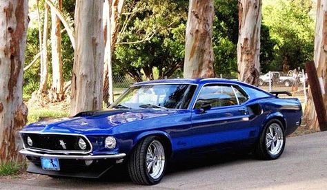 1969 Mach 1 Mustang In Electric Blue Ain't she a beaut? True blue right there... 1969 Mustang Mach 1, 1969 Mach 1, 69 Mustang, Classical Cars, Mobil Mustang, Blue Mustang, Auto Ford, Luxe Auto's, 1969 Ford Mustang