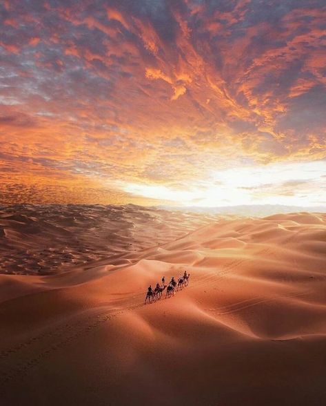 Desert sky Desert Sunset, Destination Voyage, Nature Trail, Best Vacations, Nature Travel, Amazing Nature, Wonderful Places, Land Scape, Beautiful Destinations