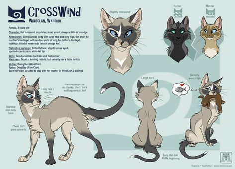 Warrior Cat Memes, Warrior Cats Comics, Warrior Drawing, Cat Drawing Tutorial, Cats Art Drawing, Cat Anatomy, Warrior Cats Fan Art, Warrior Cat Drawings, Warrior Cat Oc