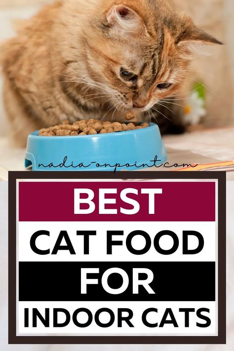 Pets and Pet Parent Gift Ideas! Here are some of the best Best Cat Food for Indoor Cats. best wet cat food for indoor cats | best dry cat food for indoor cats. Gift for Cats. Gifts for Cat Parent and cat lovers. #cats #catfood #pets Wet Food For Cats, Best Food For Cats, Best Cat Food For Indoor Cats, Cat Food Products, Parent Gift Ideas, Cat Wet Food, Kiki Cat, Homemade Cat Food, Best Cat Food