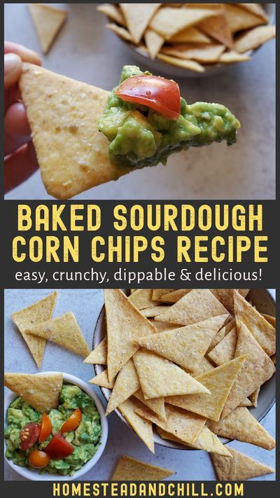 Sourdough Tortilla Chips, Large Sourdough Discard Recipes, Sourdough Discard Savory Recipes, Sourdough Snack Recipes, Summer Sourdough Recipe, Sourdough Active Starter Recipes, Sourdough Snacks For Kids, Savory Sourdough Discard Recipes, Sourdough Discard Snacks