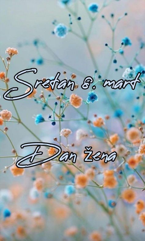 Srecan Osmi Mart, Osmi Mart, Dan Zena, Quick Saves